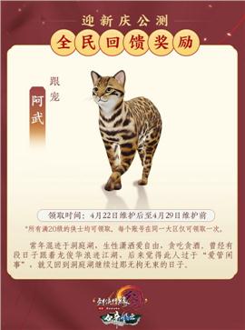天龙八部私服空名字